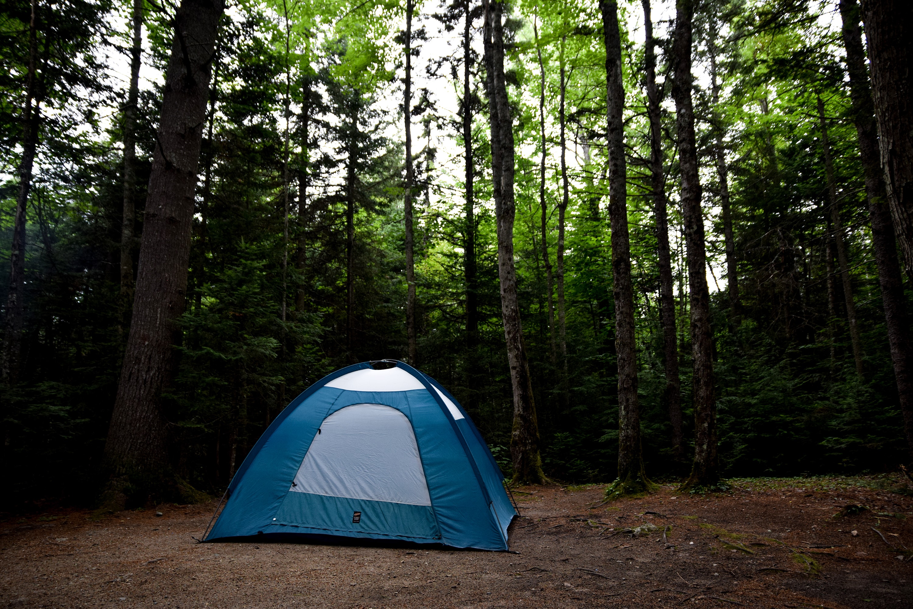 Camping Blog 5