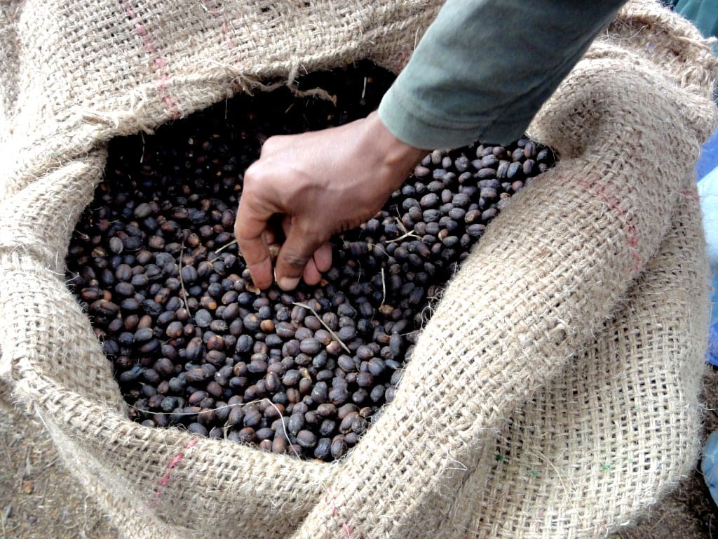 share coffee roasters ethiopia fahem